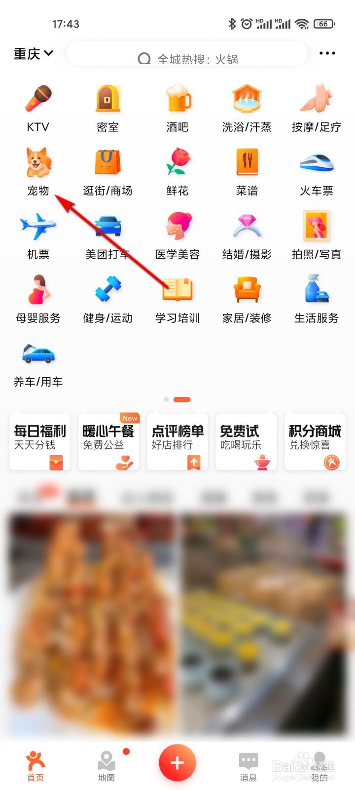 大众点评怎么抢购宠物疫苗