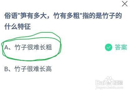 蚂蚁庄园俗语笋有多大竹有多粗指竹子的什么特征