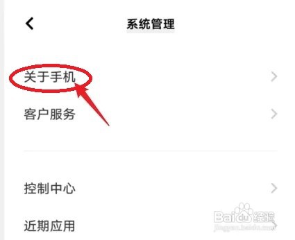 vivo手机怎么开启开发者模式