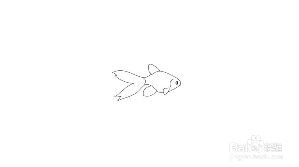 简笔画金鱼画法