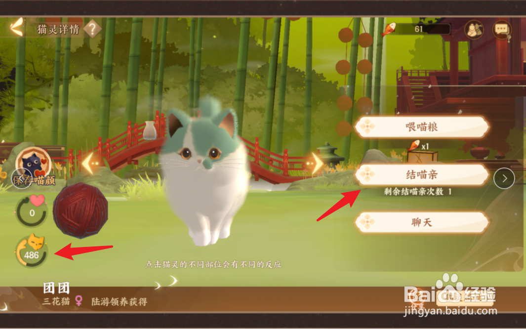 忘川风华录怎么结猫亲