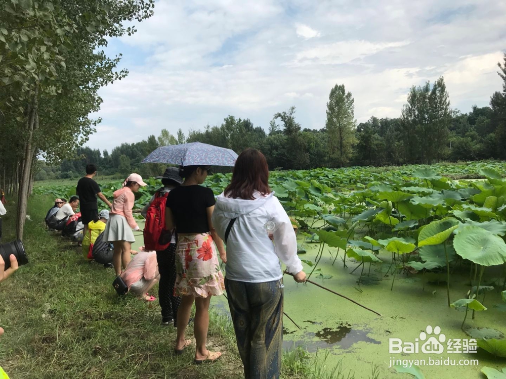 <b>西安团建拓展真人秀，垂钓小龙虾趣味活动！</b>