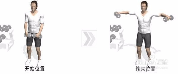 练肩怎么避免练斜方肌