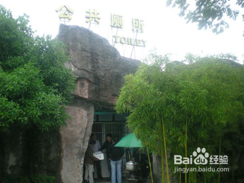 教你怎么正确的上公共厕所?