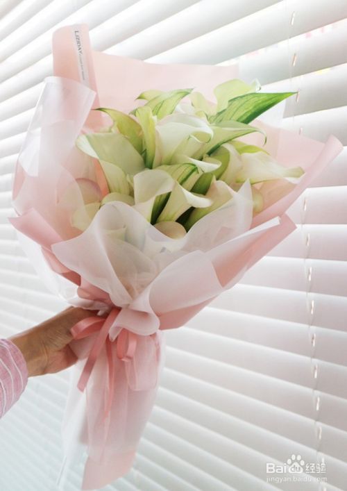早春花作 如何搭配更出彩 百度经验 早春花作 如何搭配更出彩 百度经验