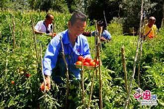 生活小细节中的大智慧