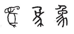 象的古文字是什么样子的