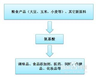 行业分析报告：[2]氨基酸行业发展趋势篇