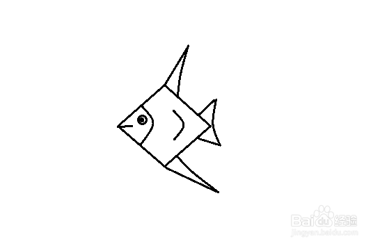 简笔画-热带鱼的简笔画如何画