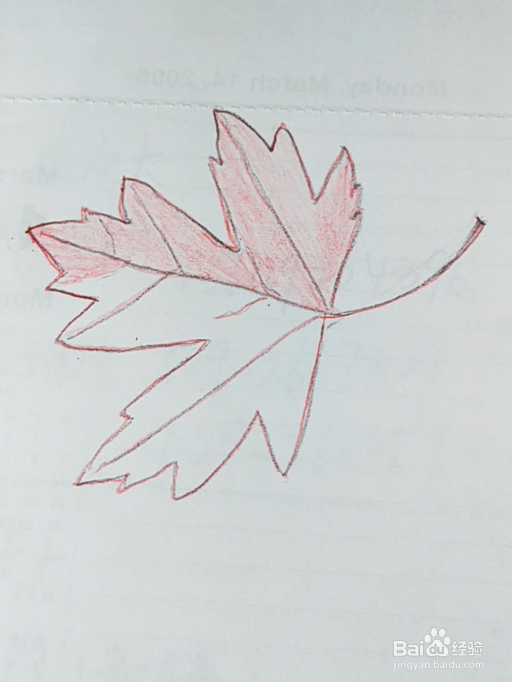 简笔画：红色枫叶画法