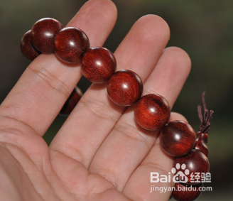 鸡血红小叶紫檀是什么