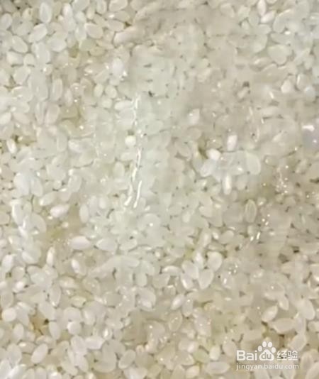 怎样能去除老鼠