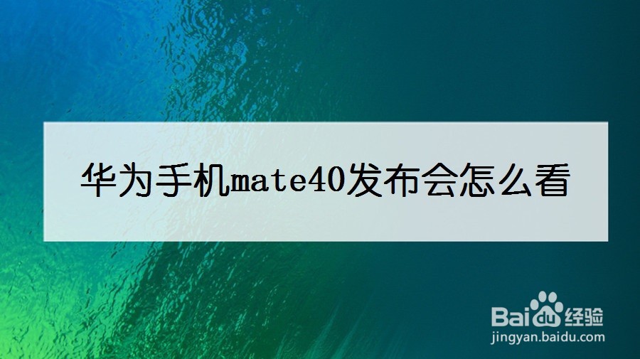 华为手机mate40发布会怎么看