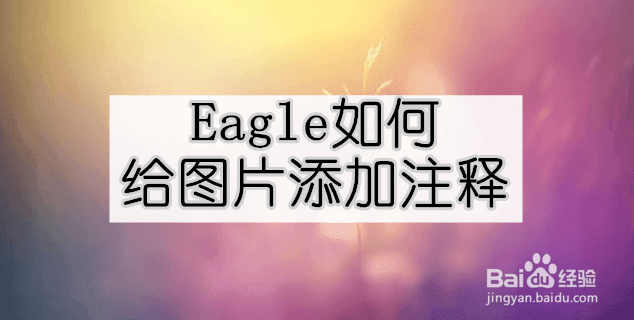 <b>Eagle如何给图片添加注释</b>