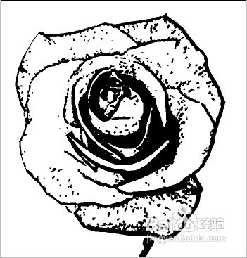 Photoshop结合illustrator快速绘制漂亮矢量底纹