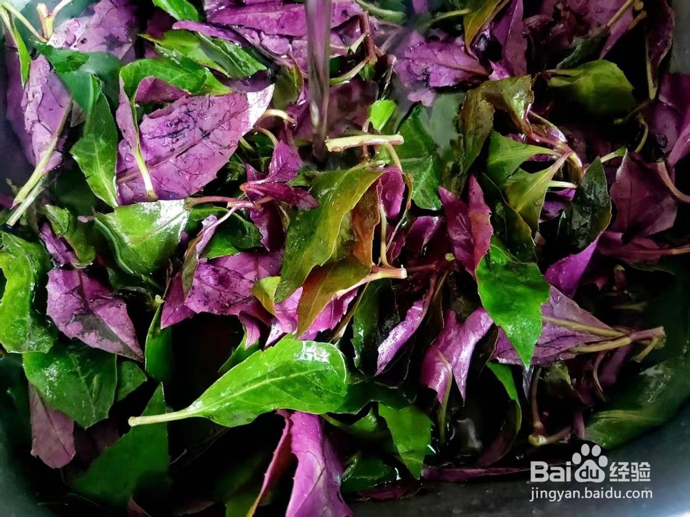 香油红凤菜---便秘小菜谱