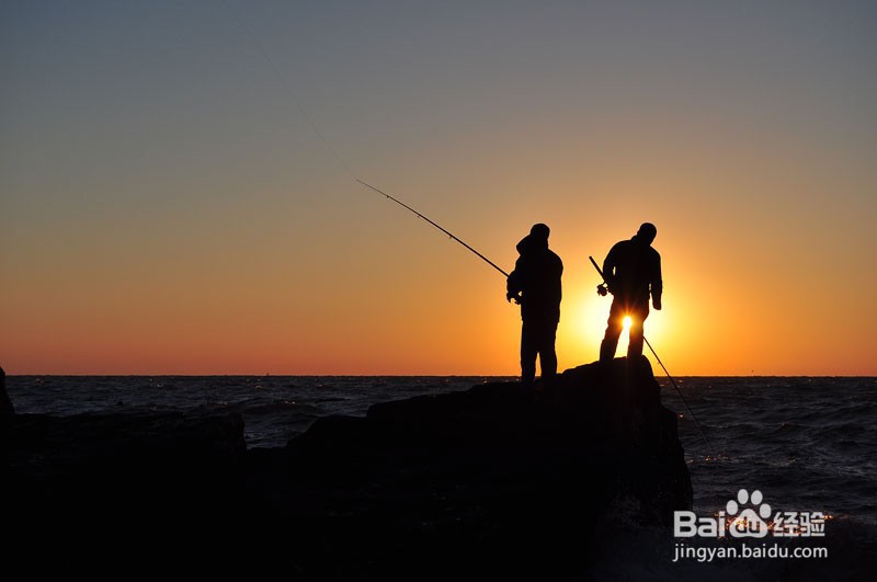 关于在钓鱼饵料中添加食盐和味精的作用你知道吗