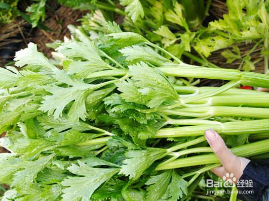 不同人群的便秘问题形成原因以及应该如何缓解