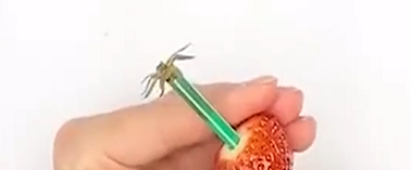 如何轻松吃水果的实用小技巧