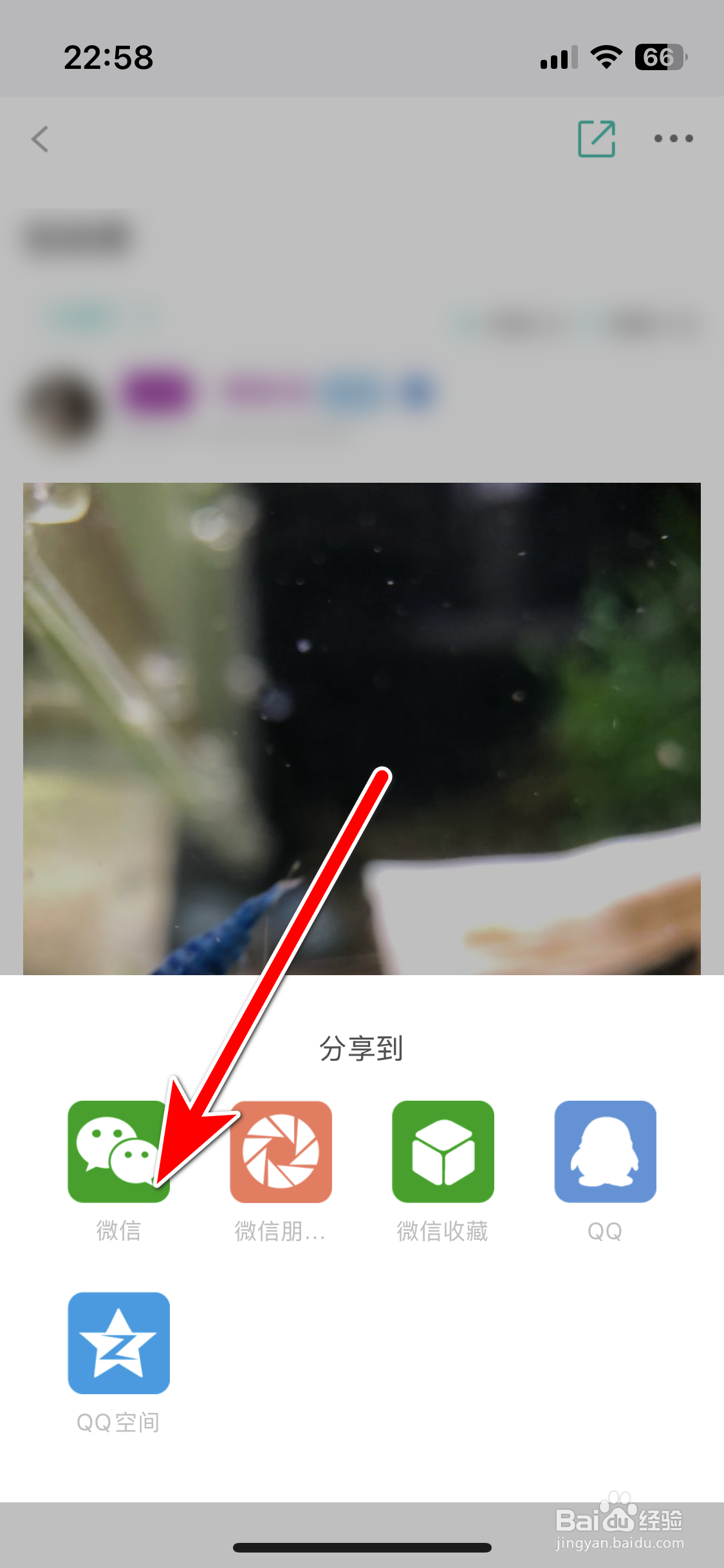 泡泡水族如何分享动态给微信好友