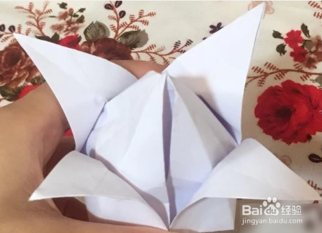 郁金香花怎么折最简单