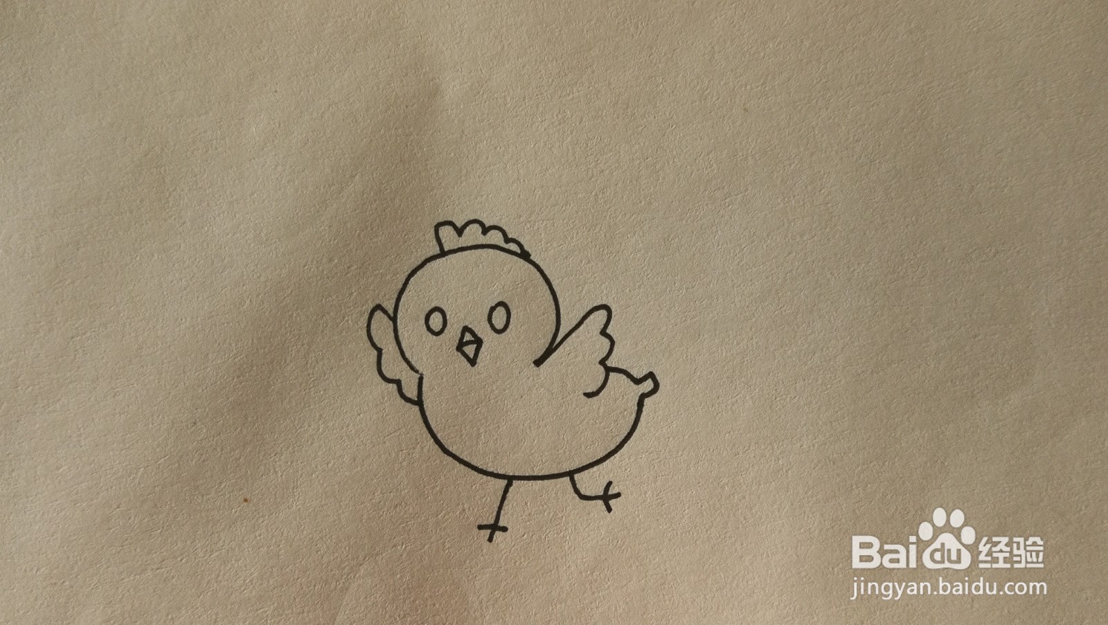 #经验分享官#小鸡的简笔画