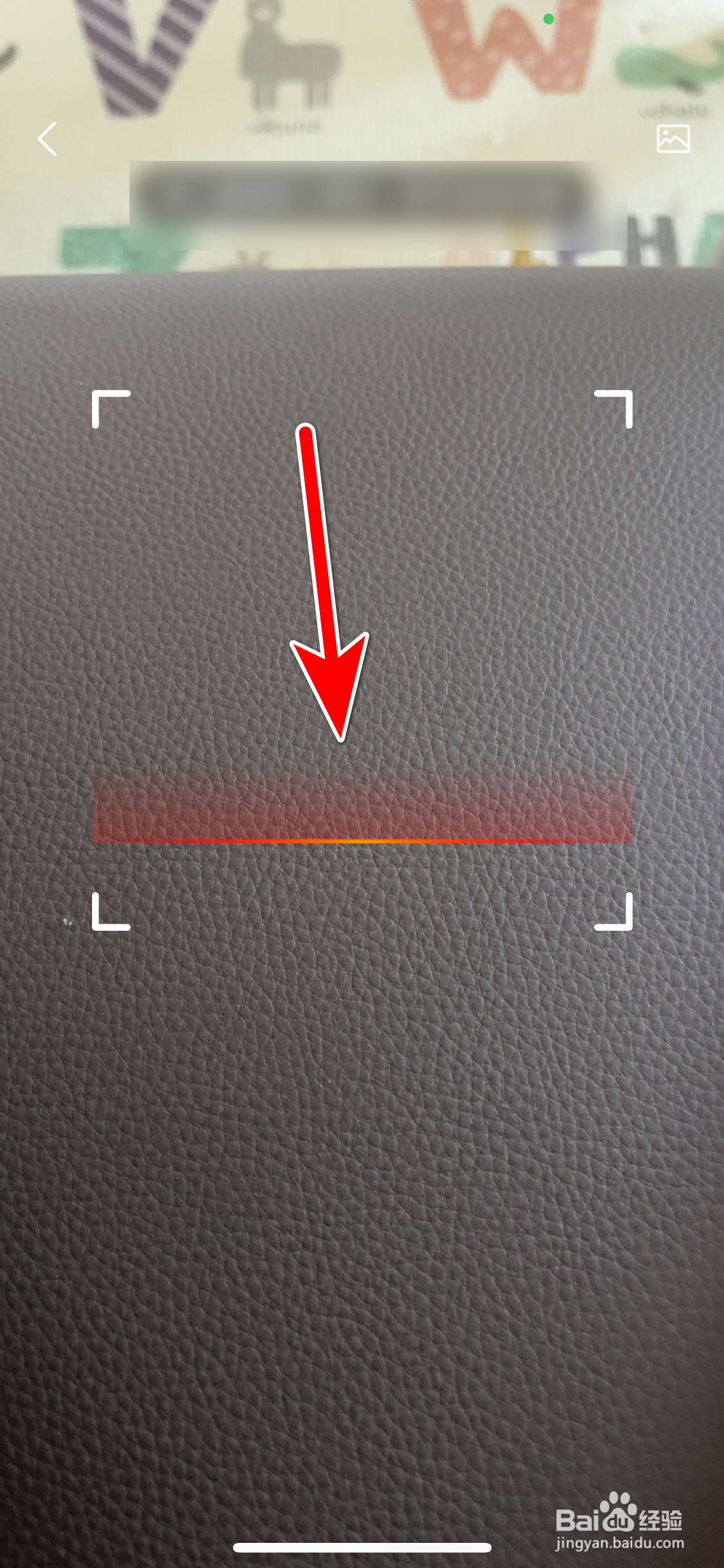 网易小蜜蜂怎么使用扫一扫功能