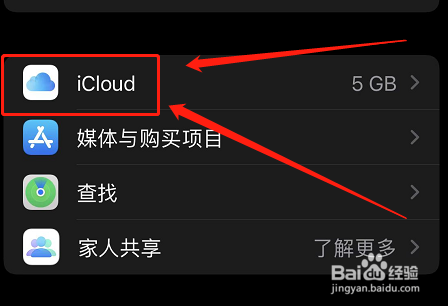苹果手机怎么记住密码自动登录
