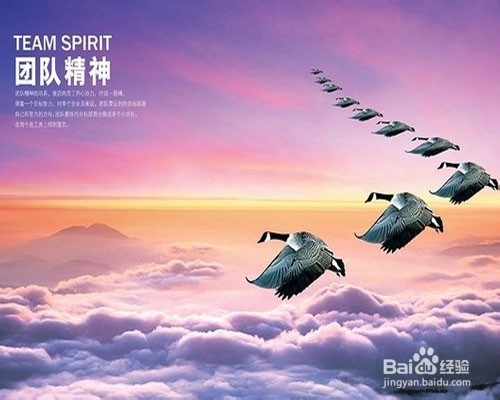 学习SEO过程中需要掌握哪些因素