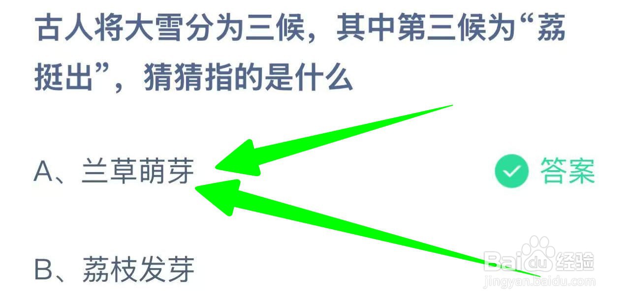 蚂蚁小课堂12.6大雪第三候 “荔挺出” 指啥？