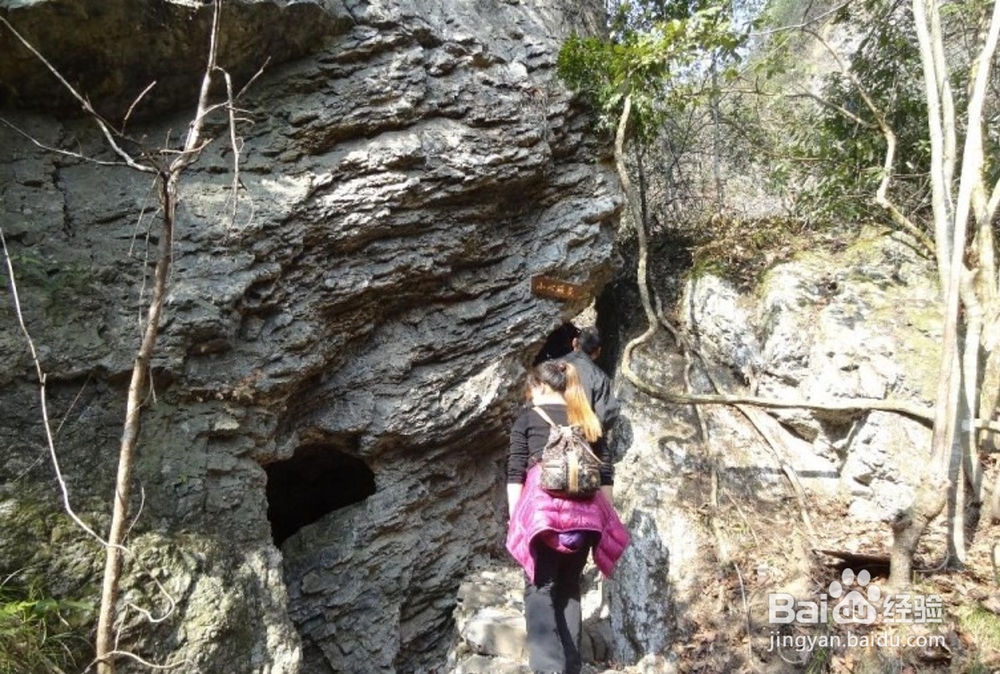 千岛湖旅游记