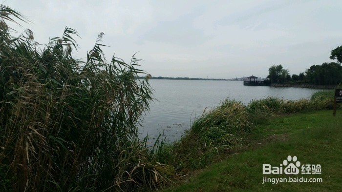 告诉你阳澄湖吃大闸蟹哪家好