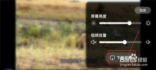 百度大字版怎么下载视频到相册
