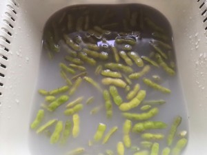 教你怎么做凉拌毛豆