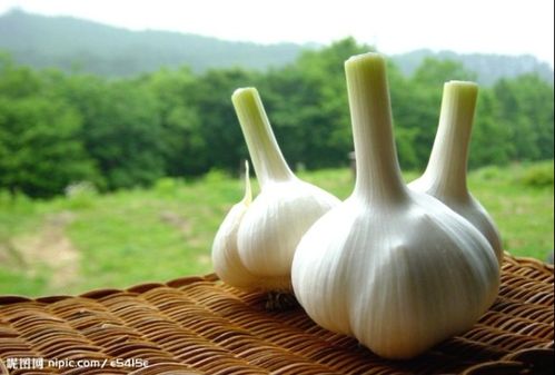 怎样在冬季防止感冒