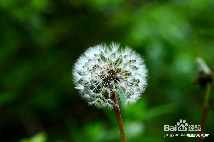 英国游记：[1]富庶之城阿伯丁·酒香满溢