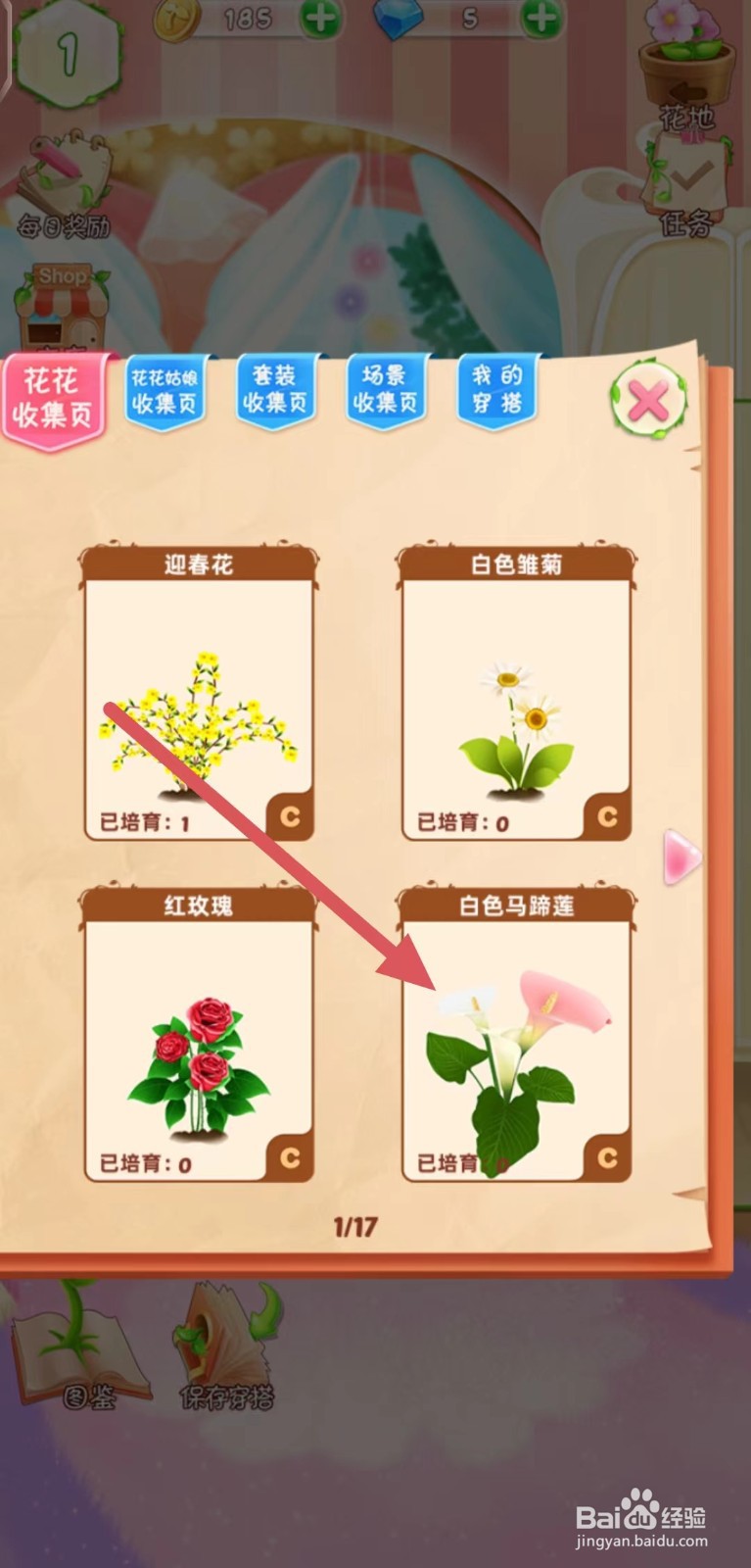 花花姑娘之魔法花园怎么查看白色马蹄莲的简介