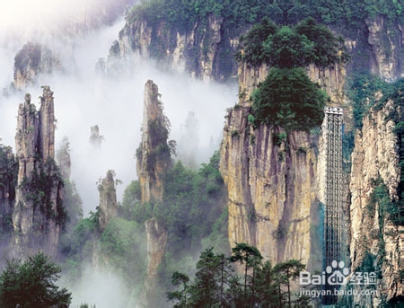 株洲到张家界旅游攻略