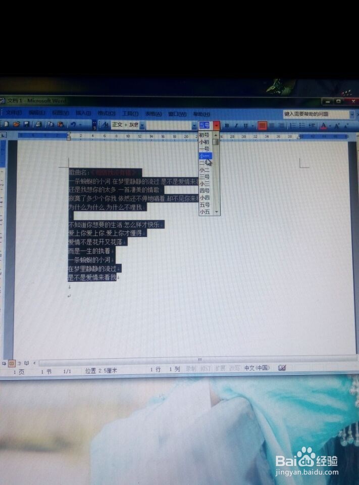 WORD中文字的基本知识