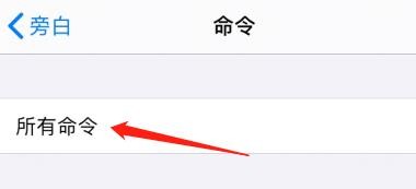 iPhone怎么查看旁白中的所有命令