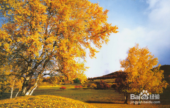 秋季要预防什么病