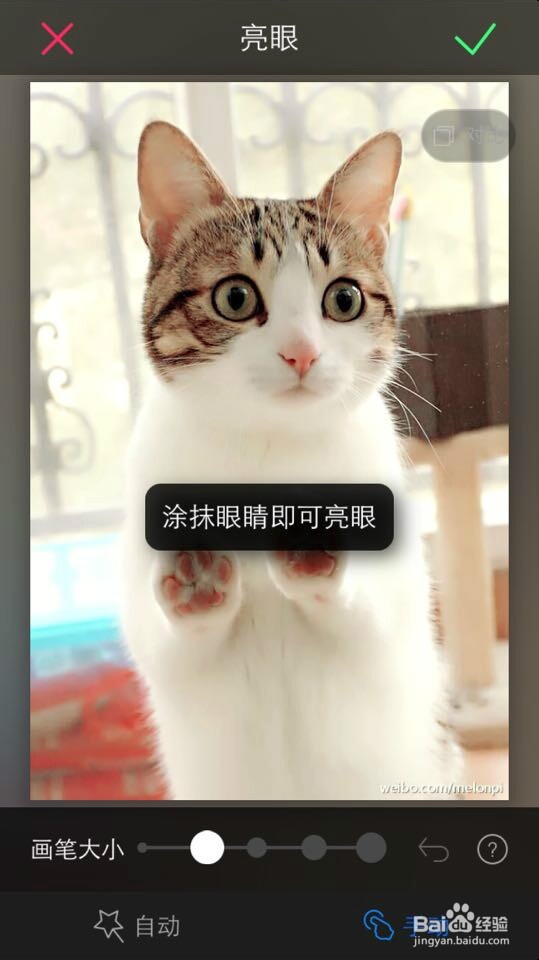 如何用美图秀秀美化人像，速成