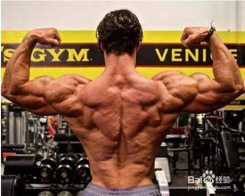 怎么进行力量训练