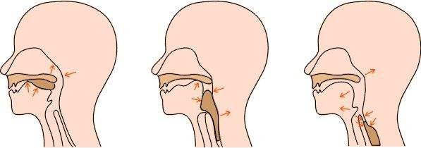 和药顺的适用人群有哪些?