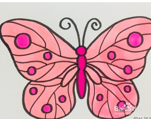 怎么画蝴蝶好看