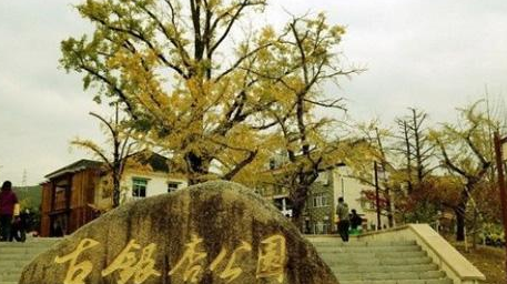 长兴枫叶什么时候看