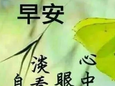 清晨问候语