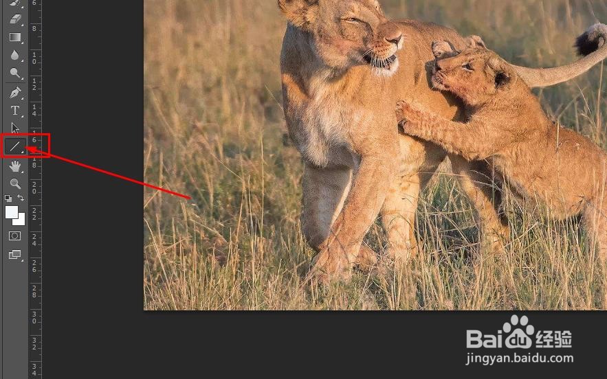Photoshop如何绘制标签