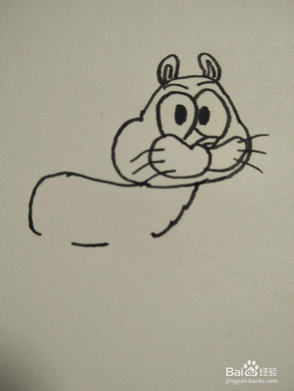 猫的简笔画法7
