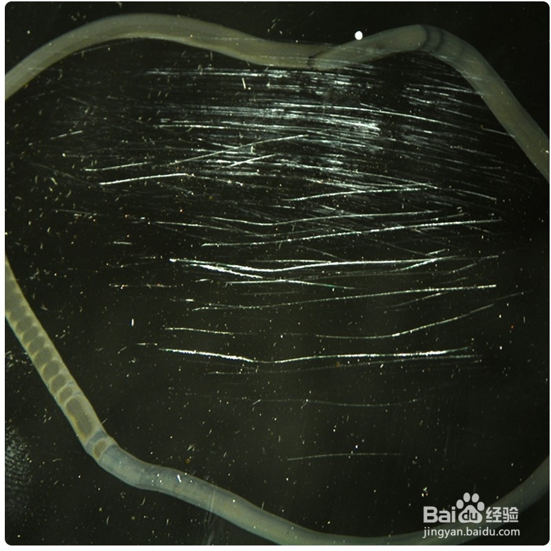 教你如何轻松解决玻璃厂玻璃划痕难题